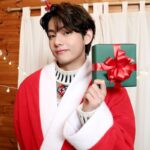 'Christmas Tree' by BTS' V was named one of the best Christmas songs according Billboard