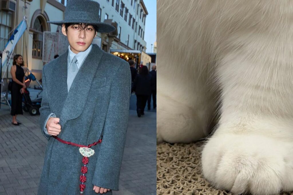 Is BTS’ V cat dad now One Instagram Story has fans guessing