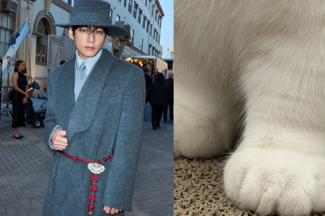 Is BTS’ V cat dad now One Instagram Story has fans guessing