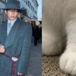 Is BTS’ V cat dad now One Instagram Story has fans guessing