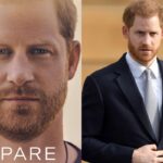 Prince Harry's Spare revelation The year-end scary malware in the royal family