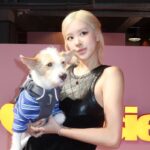 BLACKPINK's Rosé brings her dog Hank to her fan event