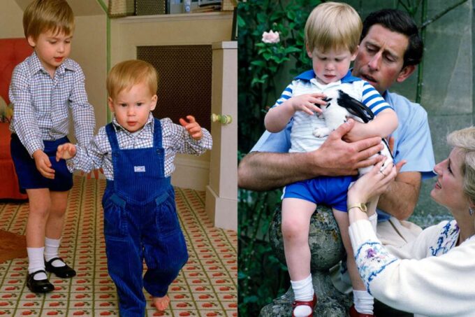 Prince Harry child and King Charles