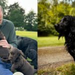 Prince William and Kate Middleton might have brought home a puppy for the royal kids