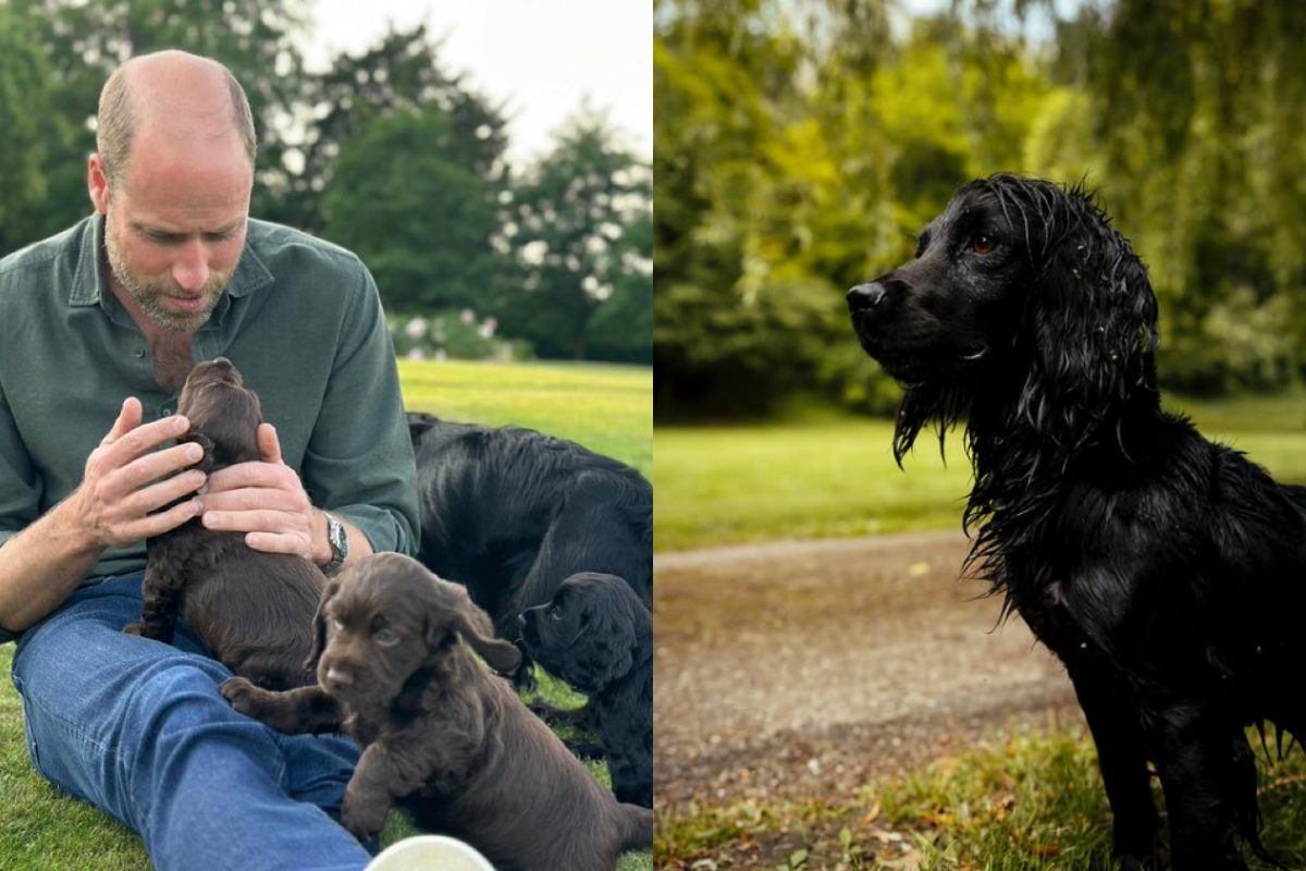 Prince William and Kate Middleton might have brought home a puppy for the royal kids