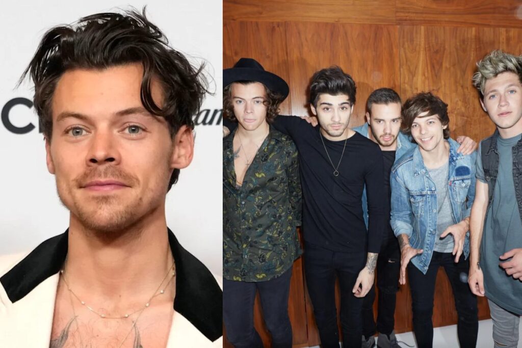Harry Styles reveals he felt "very alone" after One Direction split up Harry Styles reveals he felt very alone after One Direction split up