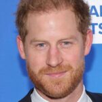 Prince Harry proudly displayed Ukrainian military badges in his home office