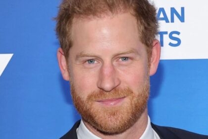 Prince Harry proudly displayed Ukrainian military badges in his home office