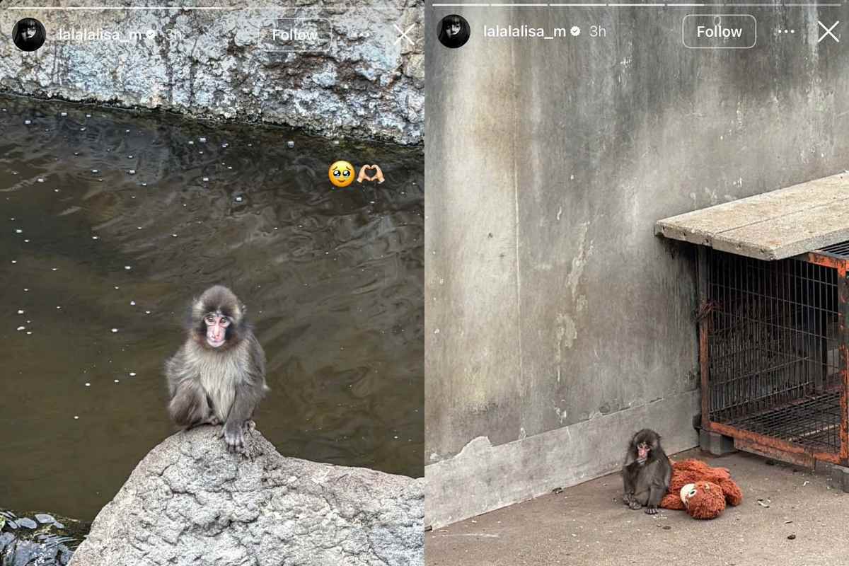 BLACKPINK’s Lisa visits viral monkey Punch at Ichikawa City Zoo