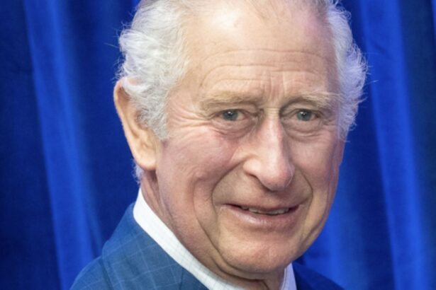 King Charles III resumes royal duties after Nigerian State Banquet