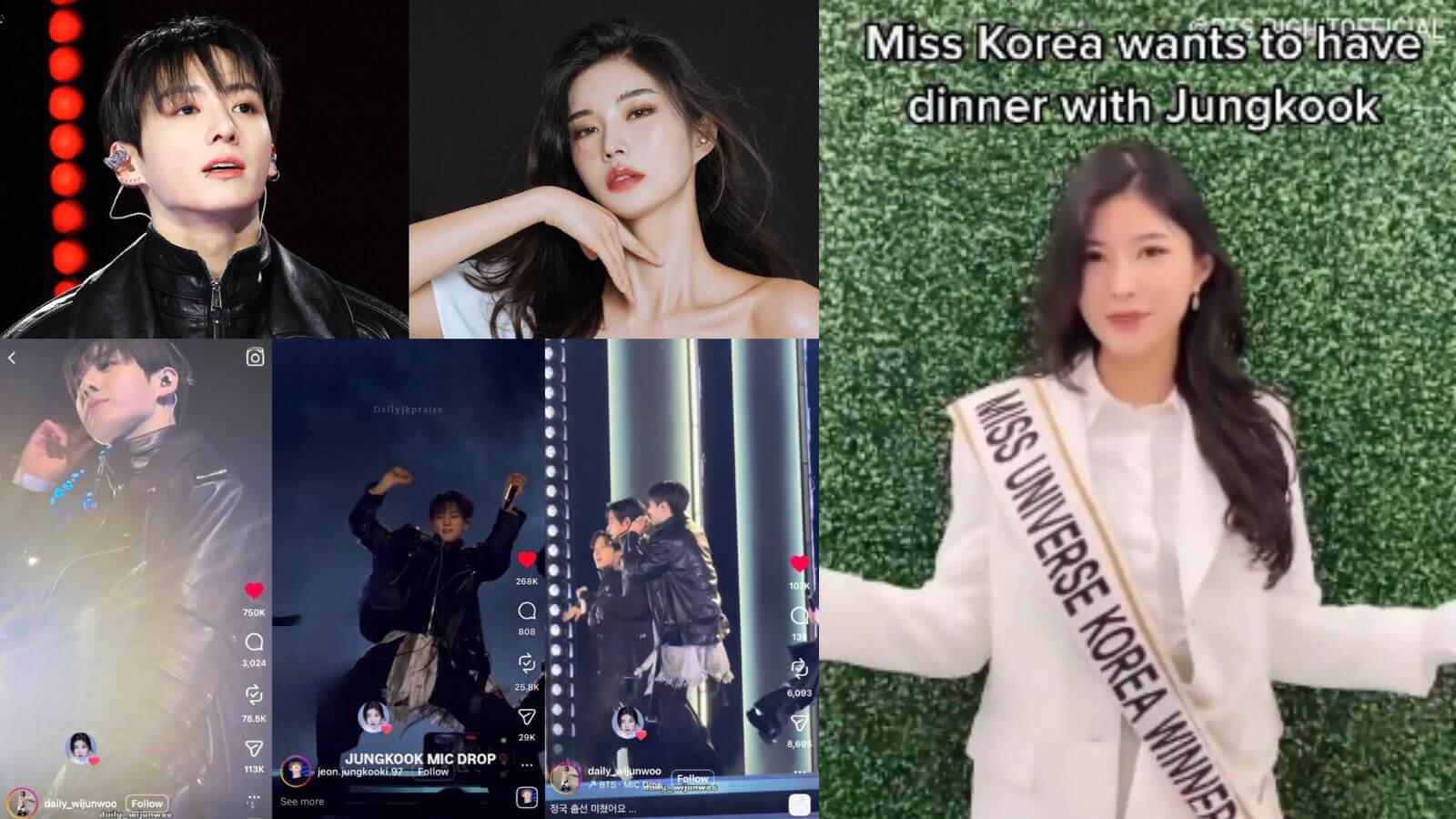 Miss Universe Korea liked multiple videos of BTS' Jungkook from the 'ARIRANG' live concert