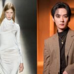 Model Vivian Wilson commented on Stray Kids' Lee Know's Instagram post 'I can die happy'