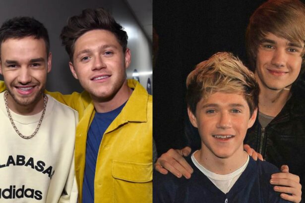 Niall Horan remembers Liam Payne ahead of new album release