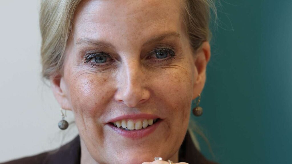 Sophie, Duchess of Edinburgh delivers message from king Charles III during visit to New York