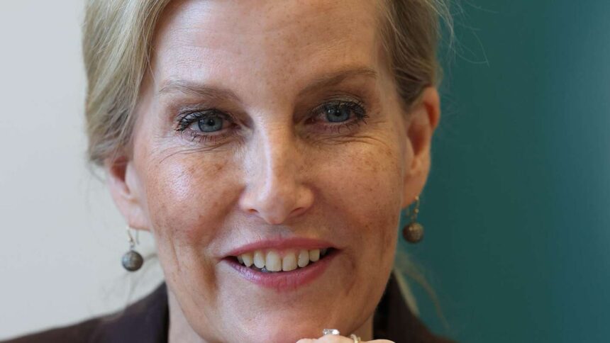 Sophie, Duchess of Edinburgh delivers message from king Charles III during visit to New York