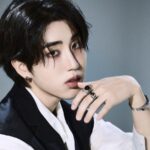 Stray Kids' Han's OSTs are nominated at the ASEA Awards 2026