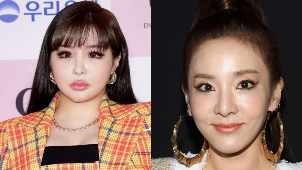 Park Bom shares an apology to 2NE1 and the public following accusations against group member Sandara Park