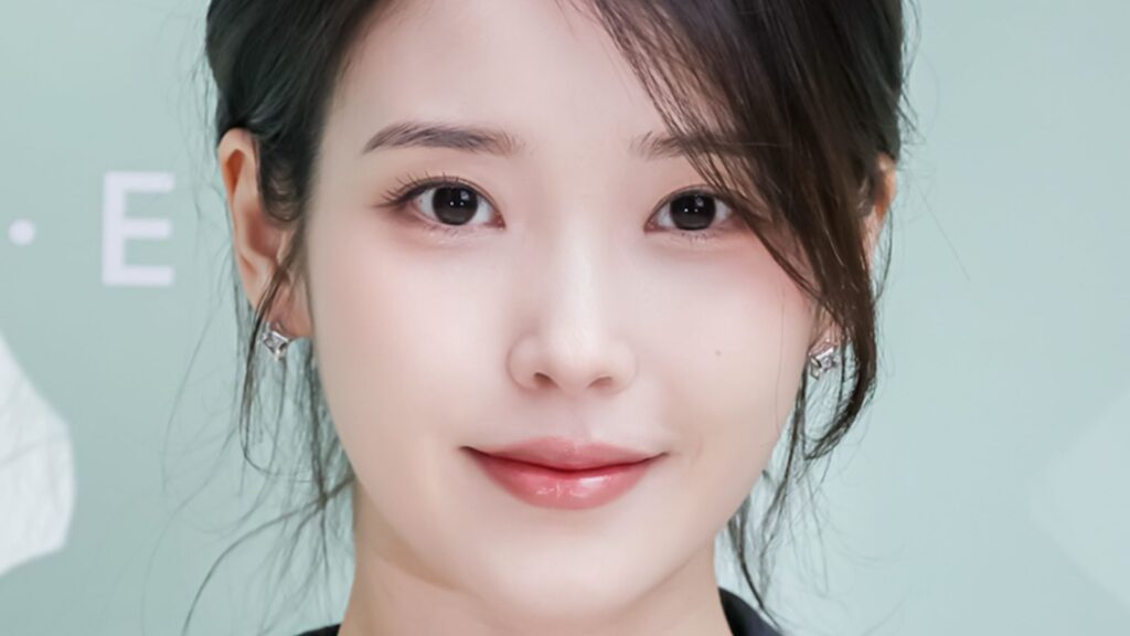 IU's malicious commenter received a suspended prison sentence