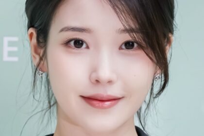 IU's malicious commenter received a suspended prison sentence