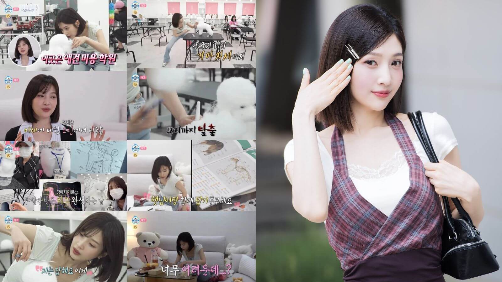 Red Velvet's Joy undergoes professional training to secure a career outside of entertainment