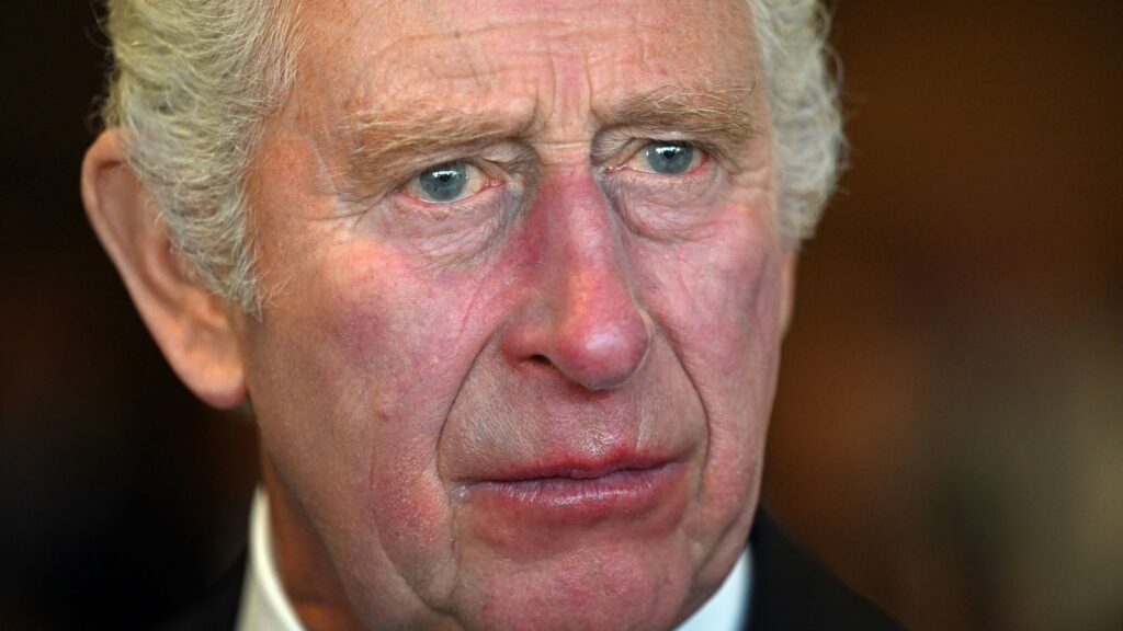 King Charles III was repotedly shocked after an unexpected soldier's death at the Royal Windsor Show