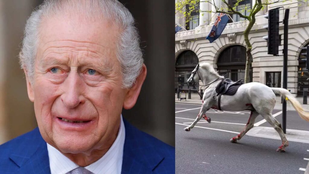King Charles’ horse disrupts military inspection near Buckingham Palace