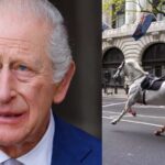 King Charles’ horse disrupts military inspection near Buckingham Palace