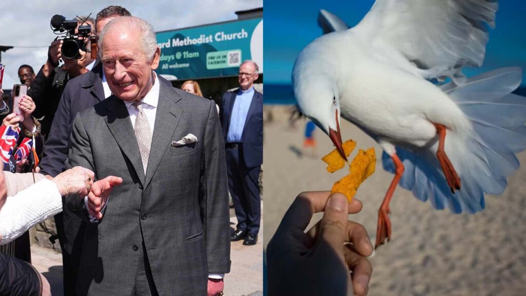 King Charles laughs after seagull poop incident during Northern Ireland visit King Charles laughs after seagull poop incident during Northern Ireland visit