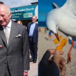 King Charles laughs after seagull poop incident during Northern Ireland visit