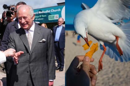 King Charles laughs after seagull poop incident during Northern Ireland visit