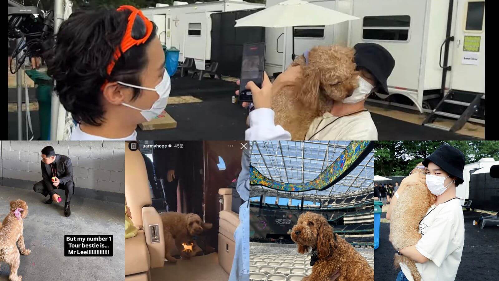 Who is Stoney Blue? The dog that calms BTS' stress backstage at the 'ARIRANG World Tour' Who is Stoney Blue? The dog that calms BTS' stress backstage at the 'ARIRANG World Tour'