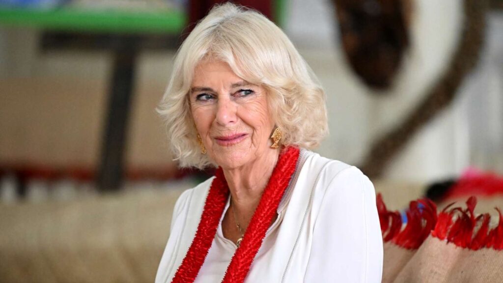 Queen Camilla Parker broke from her usual royal uniform with this rare look