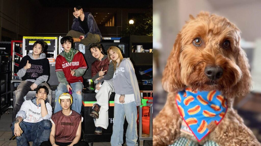 Who is Stoney Blue The dog that calms BTS' stress backstage at the 'ARIRANG World Tour'