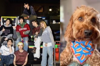 Who is Stoney Blue The dog that calms BTS' stress backstage at the 'ARIRANG World Tour'