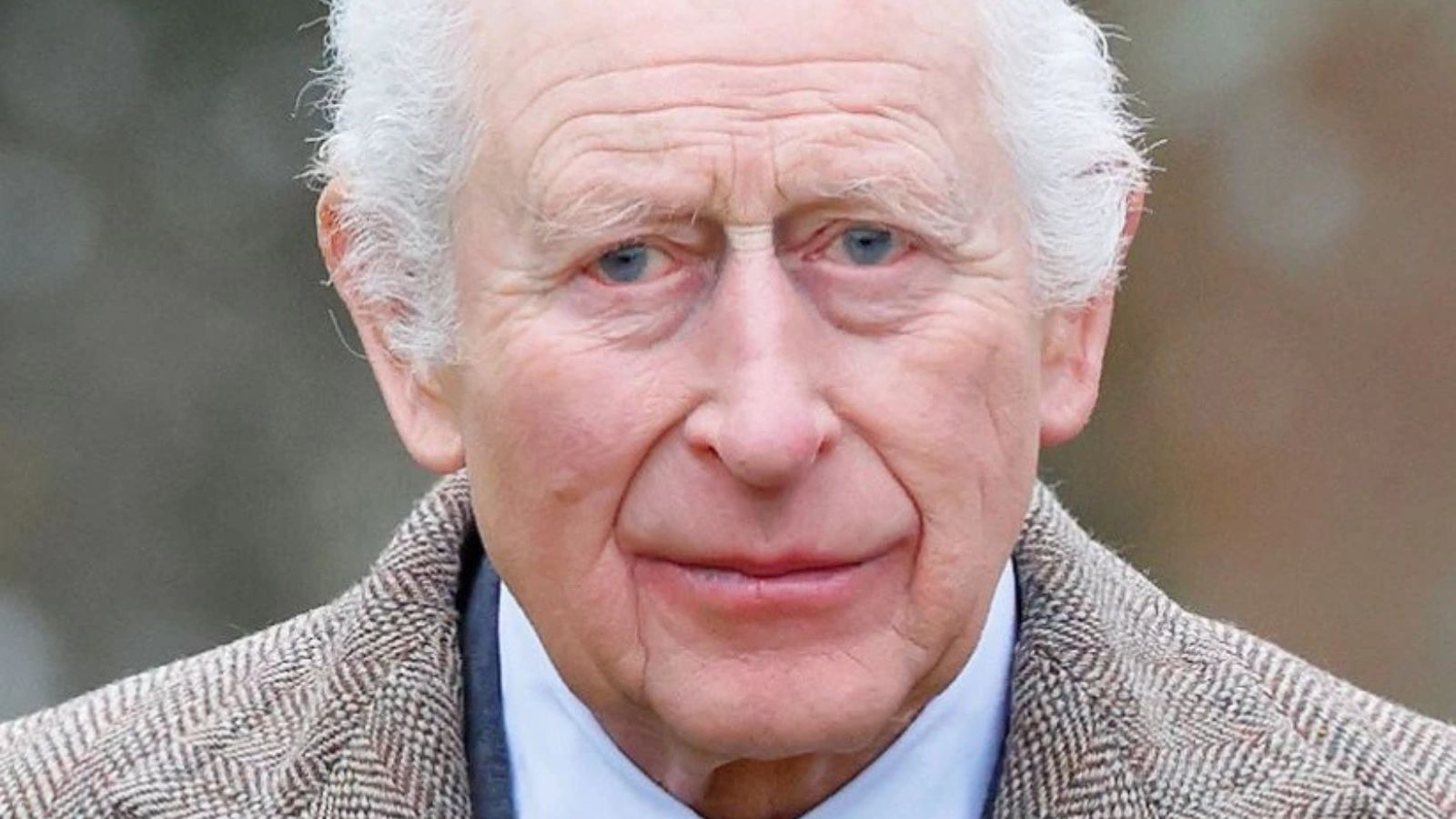 The King is ready to modernize the Monarchy