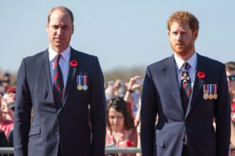 Prince Harry and Prince William's former private secretary open up on the royal feud