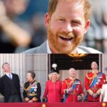 Prince Harry shares a new message as the royal family celebrates Trooping the Colour