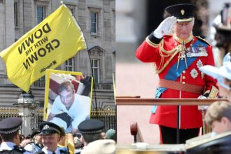 Protesters bring ex-Prince Andrew and his affiliation with Jeffrey Epstein to King Charles' birthday celebration