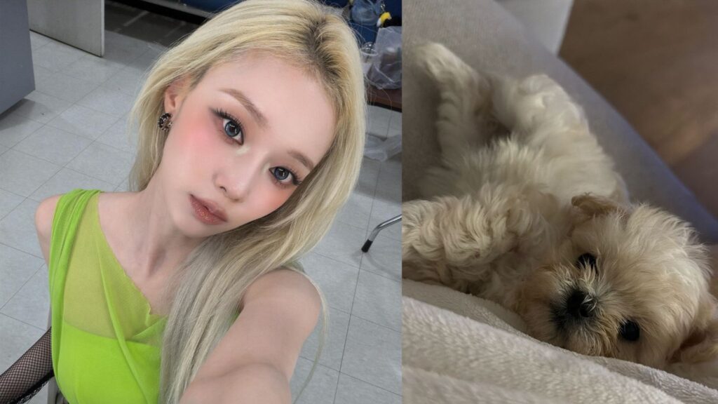 aespa's Winter reveals the heartbreaking origin story of her new dog