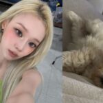 aespa's Winter reveals the heartbreaking origin story of her new dog