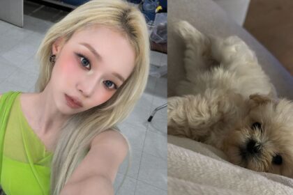 aespa's Winter reveals the heartbreaking origin story of her new dog