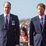 Prince Harry and Prince William remain estranged despite recent UK visit