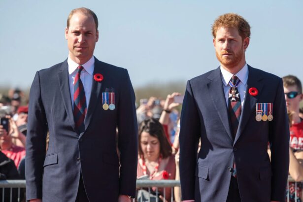Prince Harry and Prince William remain estranged despite recent UK visit
