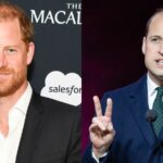 Prince Harry and Prince William still have no contact despite a recent meeting with King Charles II