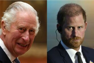 Prince Harry and his children reportedly met with King Charles III
