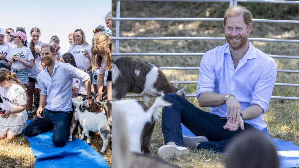 Prince Harry laughs after a goat interrupts his charity yoga session