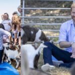 Prince Harry laughs after a goat interrupts his charity yoga session