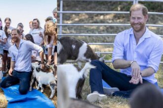 Prince Harry laughs after a goat interrupts his charity yoga session