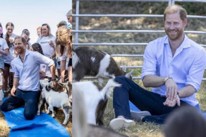 Prince Harry laughs after a goat interrupts his charity yoga session