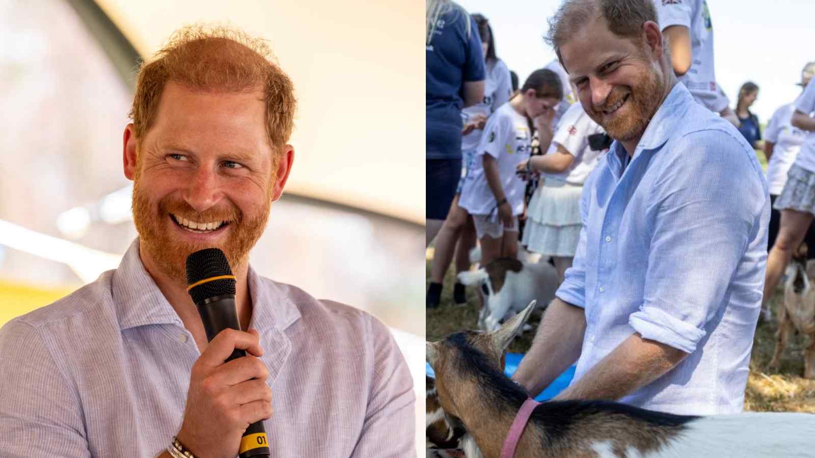 Prince Harry laughs after a goat interrupts his charity yoga session Prince Harry with goats 2026
